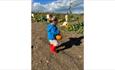 Children holding a pumpkin at the pumpkin field at the Pumpkin Patch event at Westover Farm, family friendly, children's activities, Halloween event,