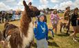 Main Ring at the Royal Isle of Wight County Show - What's On, Isle of Wight