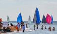 People swimming in the sea watching the boats sailing, Cowes Week, event, what's on