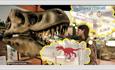 Student at Dinosaur Isle, school trips, Isle of Wight, Education Destination