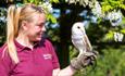 Keeper holding owl at Monkey Haven, sanctuary, Isle of Wight, Things to Do