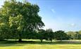 View of the park and gardens at Gatcombe Estate, Isle of Wight, attraction, guided tour, walking