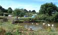 Tents pitched next to lake at Old Barn Touring Park, Sandown