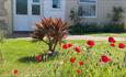 Poppy garden at The Wighthill, Sandown, self catering, hotel rooms, room only