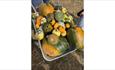 Variety of pumpkins in a wheelbarrow at the Pumpkin Patch event at Westover Farm, family friendly, children's activities, Halloween event, what's on,