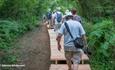 River Beaver Yar Walk, Isle of Wight Biosphere Festival, learning, family activities, art, nature, island wide, local events, what's on