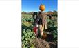 Children hiding behind the scarecrow at the Pumpkin Patch event at Westover Farm, family friendly, children's activities, Halloween event, what's on,