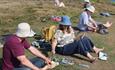 Sketchers meetup, Isle of Wight Biosphere Festival, learning, family activities, art, nature, island wide, local events, what's on