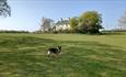 Outside grounds at Somerton Farm Holiday Cottage, self-catering, Cowes