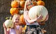 Pumpkin Pride at Tapnell Farm Park at Halloween event, Isle of Wight, What's On