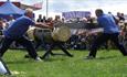 Lumberjack display team at the Royal Isle of Wight County Show - What's On, Isle of Wight