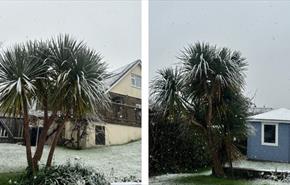 Snow falling in the grounds at Three Gables, self-catering, Isle of Wight