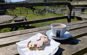 Donkey biscuit and coffee at the Isle of Wight Donkey Sanctuary