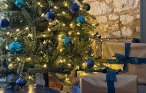 Christmas tree, Albion Hotel Christmas break