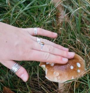 Isle of Wight, Things to do, Foraging Walks, Someone touching the top of a Mushroom