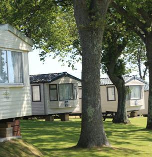 View of caravans within the trees at Cheverton Copse Holiday Park, Sandown