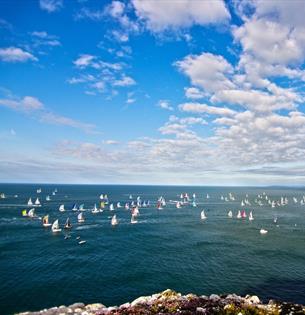 Live Music & The Island Boat Race