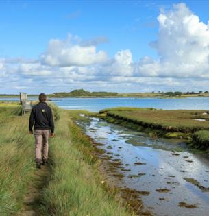 Isle of Wight, Things to do, Guided Walk, Newtown, National Trust