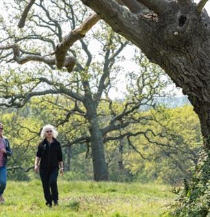 Isle of Wight, Things to do, Guided Walk, National Trust, Newtown Nature Reserve.