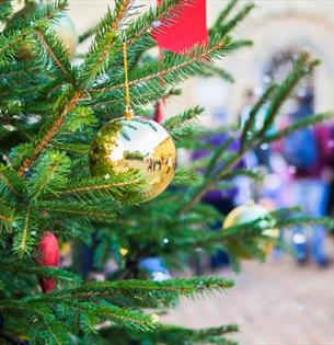 Isle of Wight, Things to do, Christmas, Osborne, East Cowes, Festive Fun