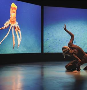 Isle of Wight, Things to do, Quay Arts, Newport