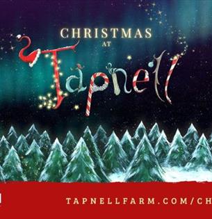Christmas at Tapnell Farm Park, What's On, children's event