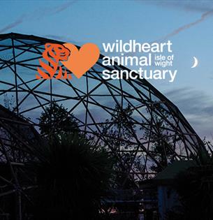 Isle of Wight, Wildheart Animal Sanctuary, Things to do, Events, Twilight Safaris