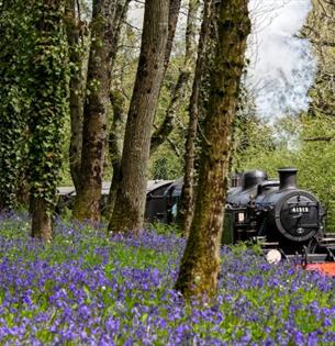 Isle of Wight, Steam Railway, Things to Do, Mothers Day events