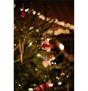 Bauble on a Christmas tree, party night at The Garlic Farm, what's on, event, Isle of Wight