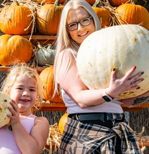 Pumpkin Pride at Tapnell Farm Park at Halloween event, Isle of Wight, What's On