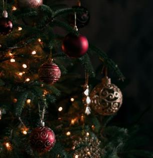 Christmas tree, festive stays at The Wight, Christmas, Twixmas, New Year, event, what's on, Isle of Wight