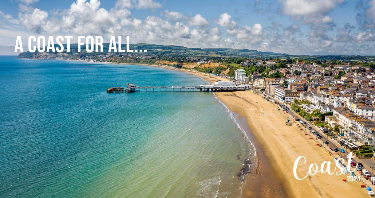Aerial view of Sandown beach and the pier