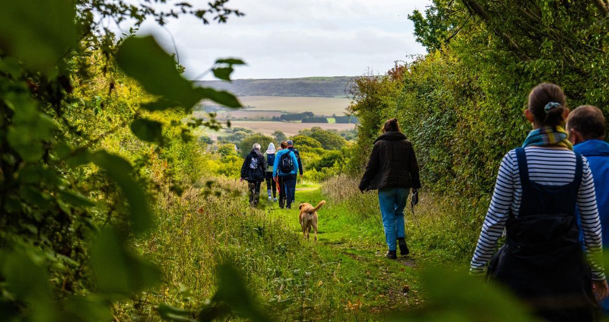 Group of walkers enjoying the countryside