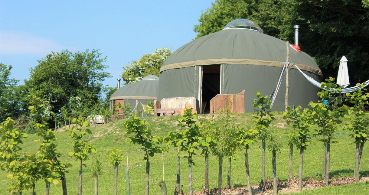 Yurts at the Garlic Farm, Isle of Wight