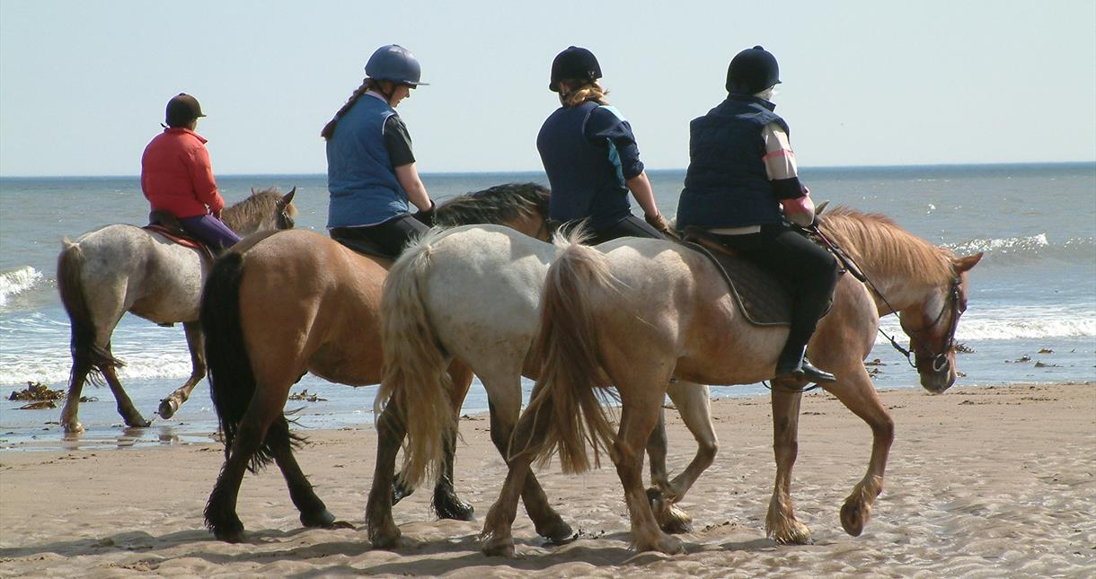 Horse Riding on the Isle of Wight
