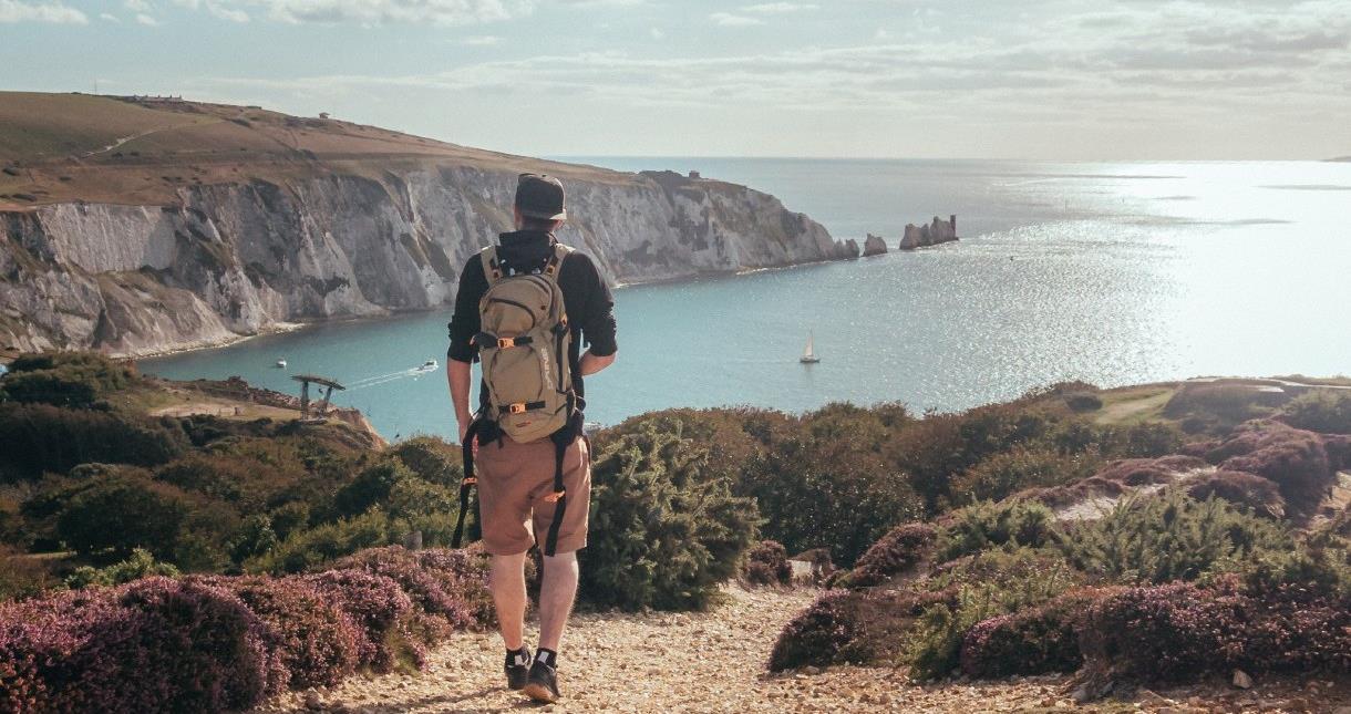 Man viewing The Needles from a cliff - photo credit: Leon Butler