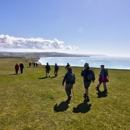 Group of people walking on Tennyson Down
