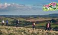 Group of walkers in the countryside on the Isle of Wight, Isle of Wight Walking Festival, what's on, event