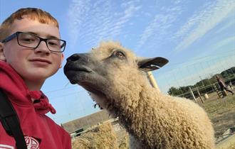 HAVE A GO! — A DAY ON THE FARM — image from event listing