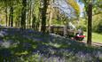 Isle of Wight, Things to Do, Coronation Day Specials, Isle of Wight Steam Railway