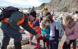 Isle of Wight, Things to Do, Easter Fossil Hunt, Sandown, Dinosaur Isle