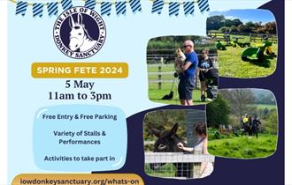 Isle of Wight, Things to do, Donkey Sanctuary Spring Fete, Information Poster