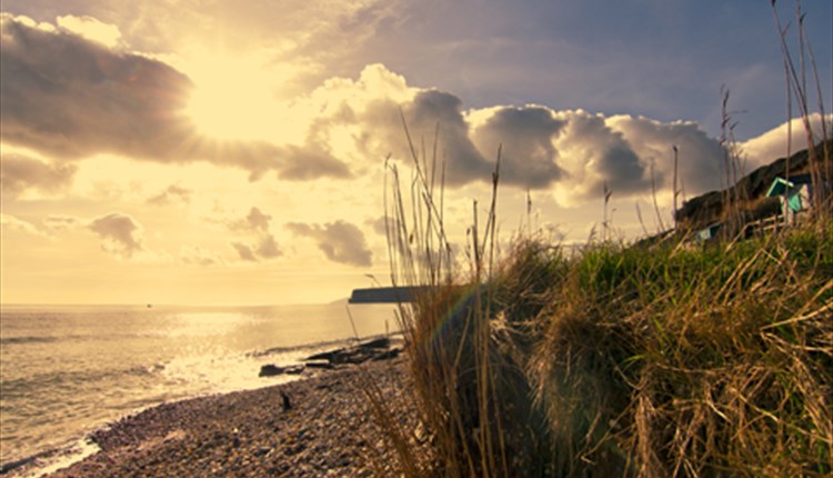 Bembridge Ledge / Forelands Beach