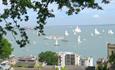 Isle of Wight, Special Events, Cowes Week Tree Climbing, Northwood View, Goodleaf