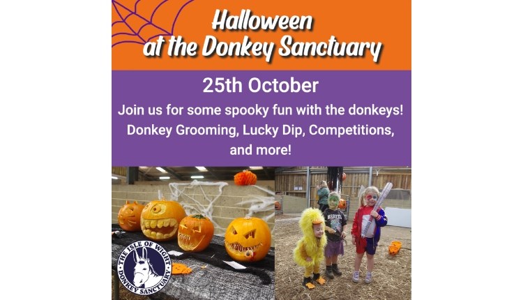 Isle of Wight, Things to do, Halloween, October Half Term, Isle of Wight Donkey Sanctuary