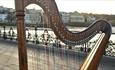 Isle of Wight, Harp on Wight International, Music, concerts,
