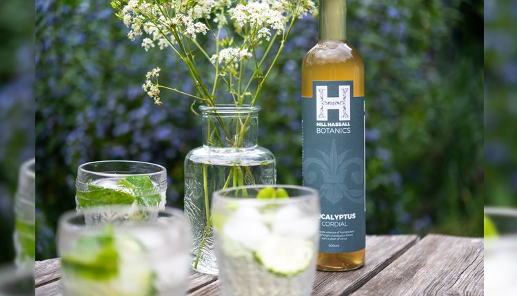 Eucalyptus cordial from Hill Hassall Botanics at Ventnor Botanic Garden, Isle of Wight, local produce, buy local