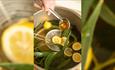 Eucalyptus leaves and lemon ingredients, Hill Hassall Botanics at Ventnor Botanic Garden, Isle of Wight, local produce, buy local