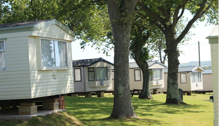 View of caravans within the trees at Cheverton Copse Holiday Park, Sandown