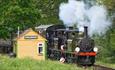 Isle of Wight, Things to Do, Isle of Wight Steam Railway, Train passing Smallbrook points
